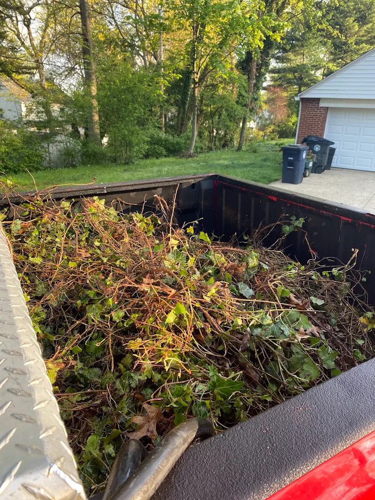 Simons Tree Services